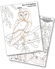 Barn Owl Guides