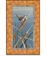 The Marsh Wren